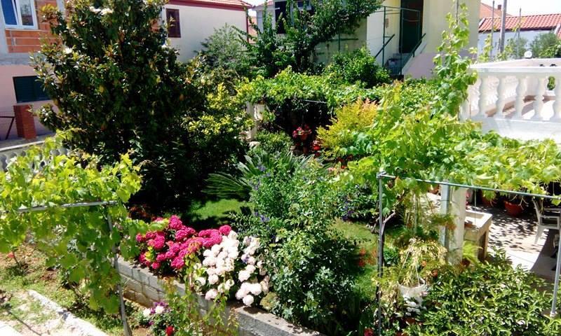 Apartment Matovina Zadar Extérieur photo